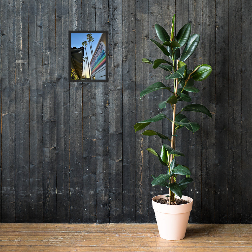 Artsy Palm Trees | Framed Photo Print