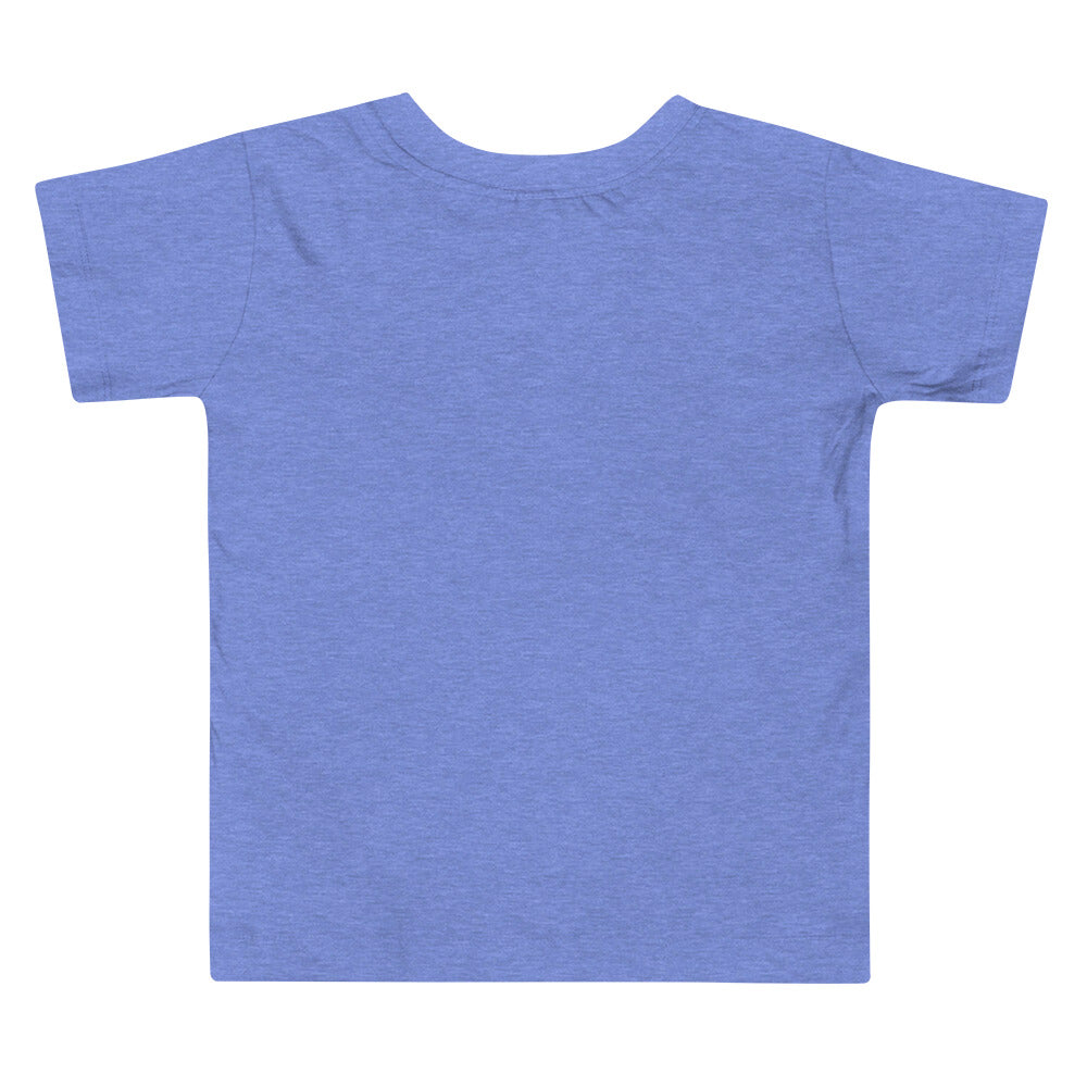 Birthday Boy | T-Shirt | Toddler